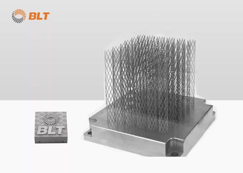 成人之 鎂 鉑力特助力清華大學新材料研究