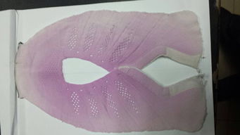 進(jìn)口變色粉與金宏圖新材料 優(yōu)質(zhì)供應(yīng)商解析